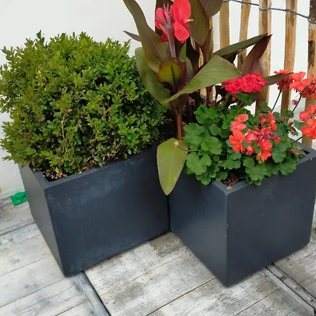 Hébergement de vacances Petite Maison Pleine De Charme *